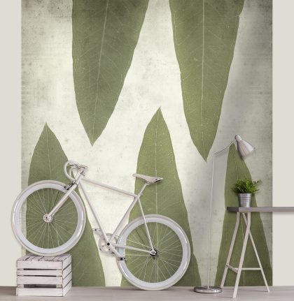 OLD PICTURE FOGLIE VERDE