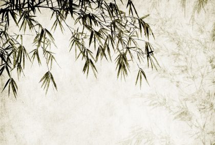 ORIENTAL CHIC GRIGIO