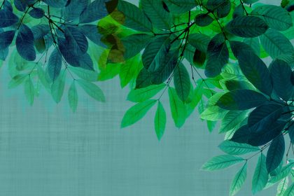 GREENER VERDE