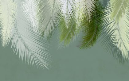 LEAVES CONCERT VERDE