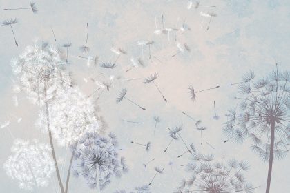 DANDELION AZZURRO