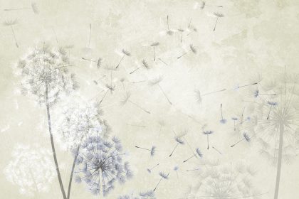 DANDELION AVORIO