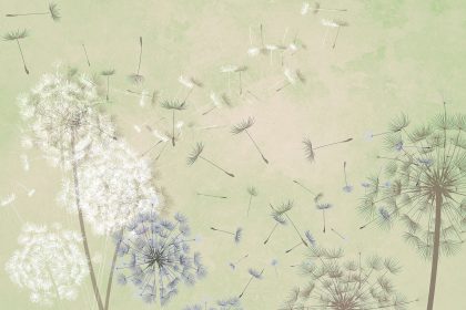 DANDELION VERDE