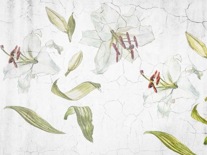 LILY BIANCO