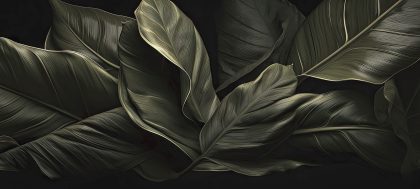 DEEP FOREST GRIGIO