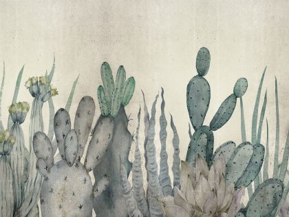 CACTUS AVORIO