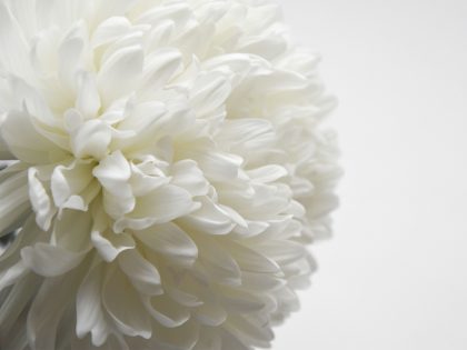 PON PON BIANCO