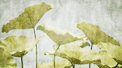 FIORI DI LOTO GIALLO