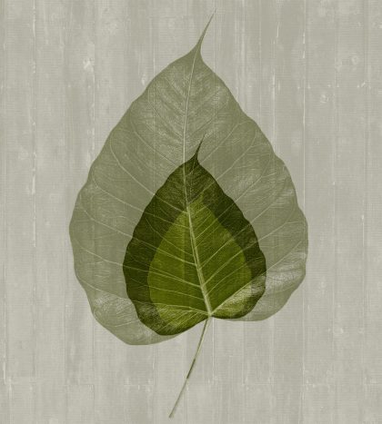 LEAVES FAN VERDE
