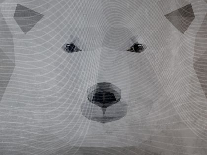 ARTIC WILDLIFE GRIGIO
