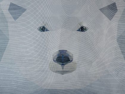 ARTIC WILDLIFE AZZURRO