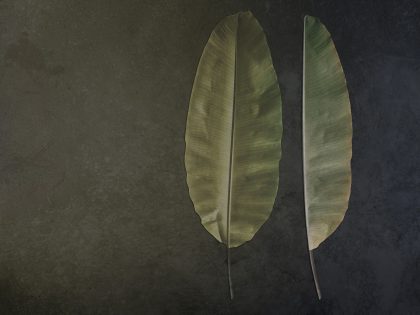 METAL LEAVES MARRONE