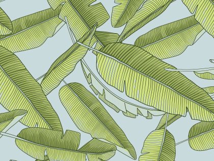ECO PAPER VERDE