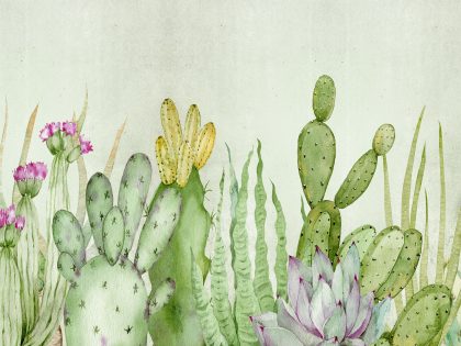 CACTUS VERDE