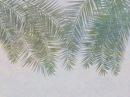 CABANA VERDE