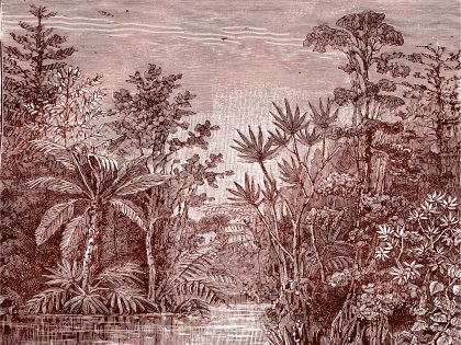 TROPICAL RIVER ROSSO