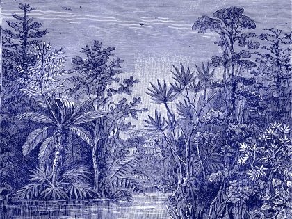 TROPICAL RIVER BLU