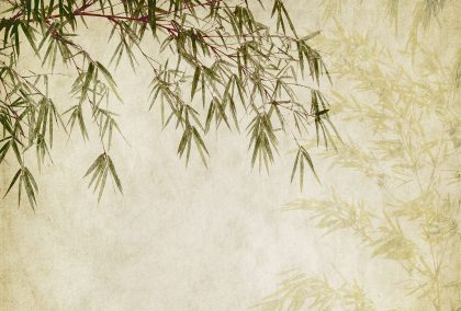 ORIENTAL CHIC VERDE
