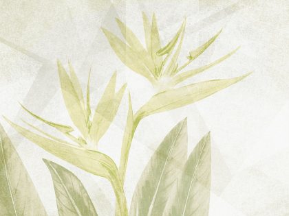 PARADISE BOQUET VERDE