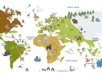 Piccoli Esploratori verde